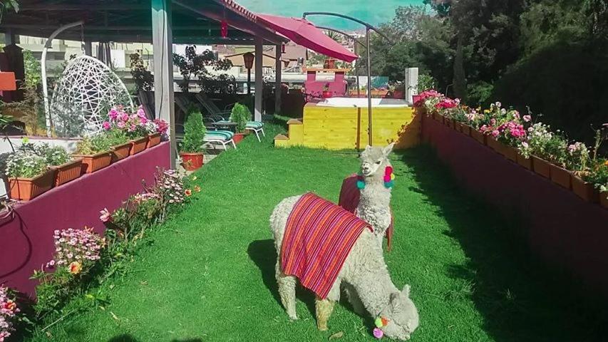 Gatsby Hotel Collection Arequipa Exterior photo